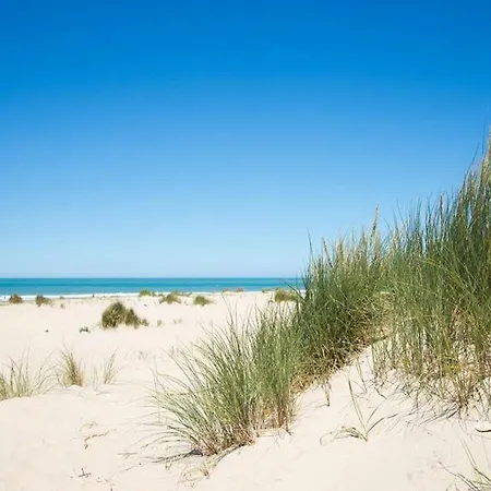 Kamp alanı Camping Bonne Anse Plage